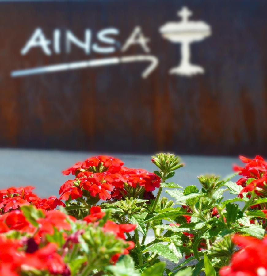 Guest House Ainsa Pirineos Exterior foto